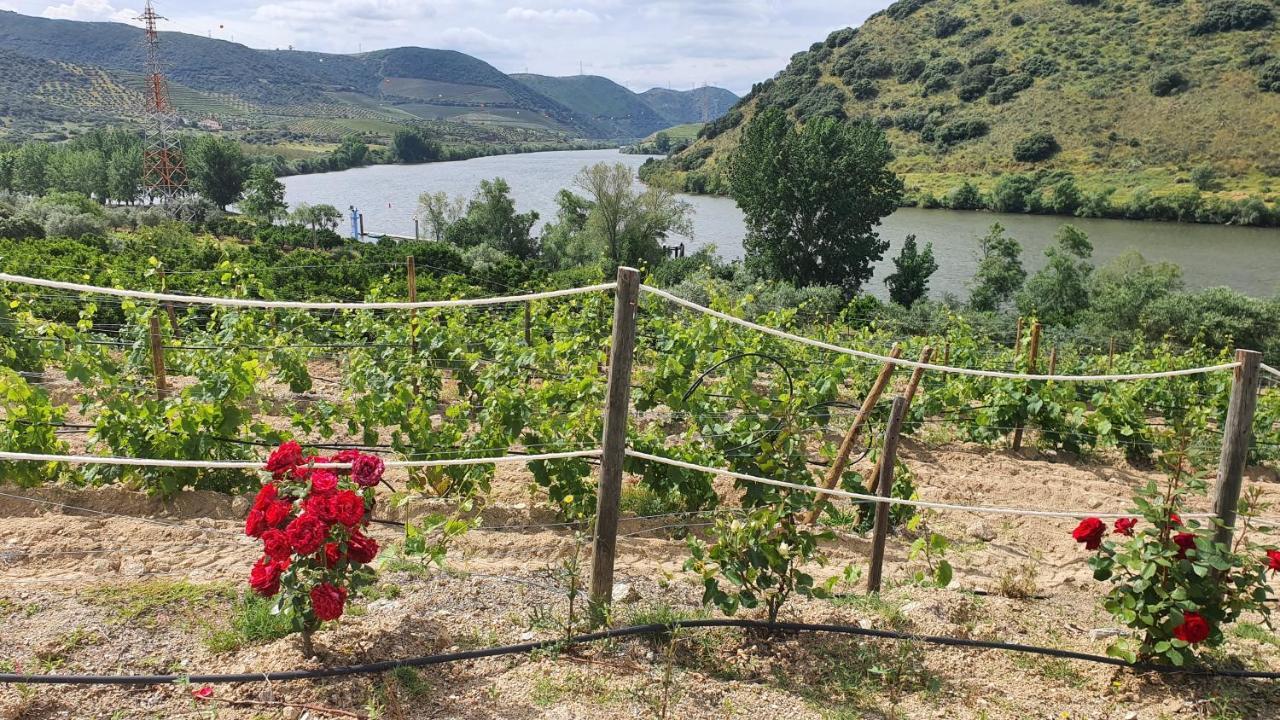 Hostal Olhares Do Douro Torre De Moncorvo Exterior foto